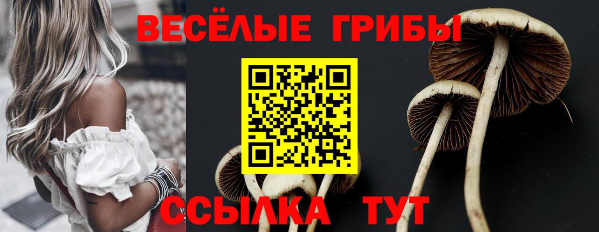 Галлюциногенные грибы Cubensis Саяногорск
