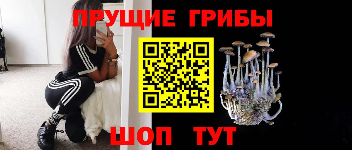 Галлюциногенные грибы мухоморы  Псилоцибиновые грибы Psilocybe  Вход с VPN  Саяногорск 